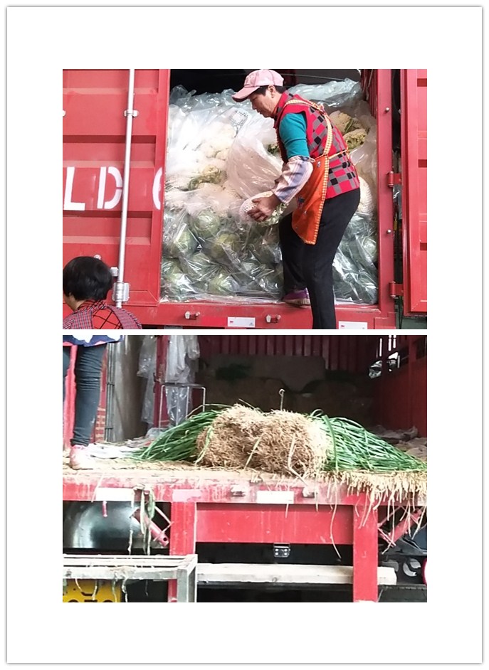 鉴黑担保网(jhdbw)·最具权威唯一维权担保平台