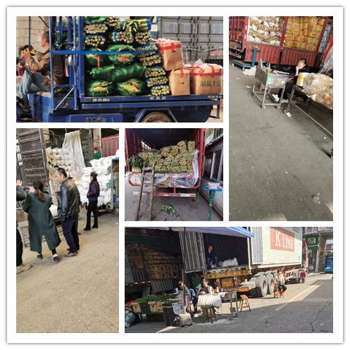 鉴黑担保网(jhdbw)·最具权威唯一维权担保平台