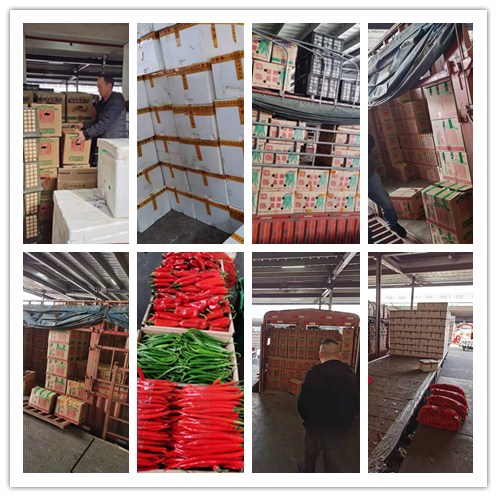 鉴黑担保网(jhdbw)·最具权威唯一维权担保平台