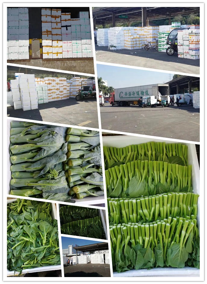 鉴黑担保网(jhdbw)·最具权威唯一维权担保平台