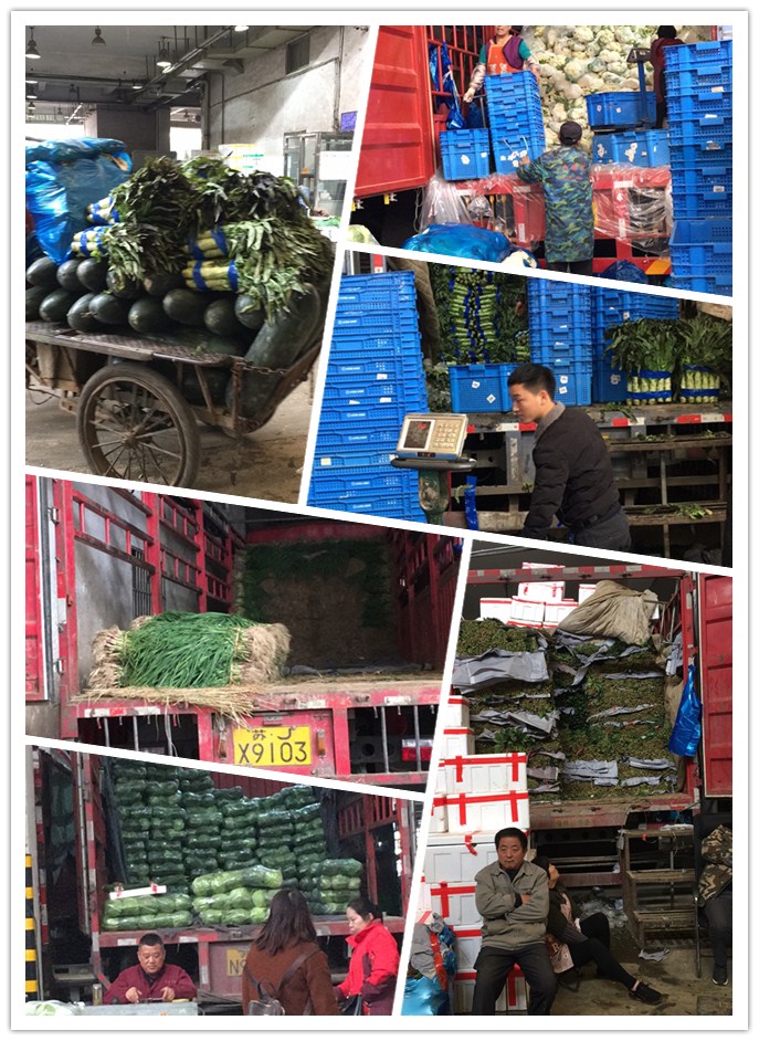 鉴黑担保网(jhdbw)·最具权威唯一维权担保平台