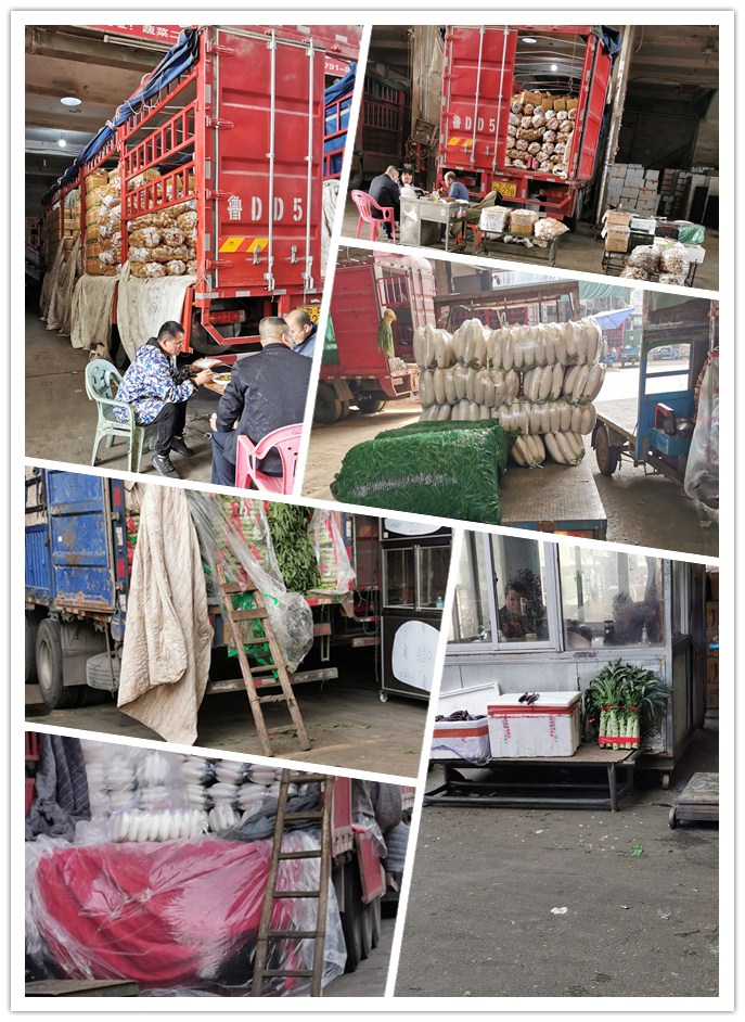 鉴黑担保网(jhdbw)·最具权威唯一维权担保平台