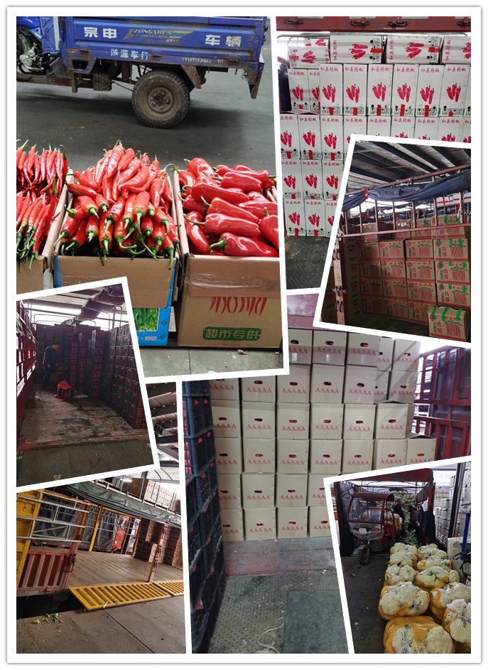 鉴黑担保网(jhdbw)·最具权威唯一维权担保平台