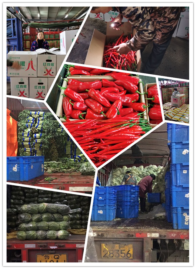 鉴黑担保网(jhdbw)·最具权威唯一维权担保平台