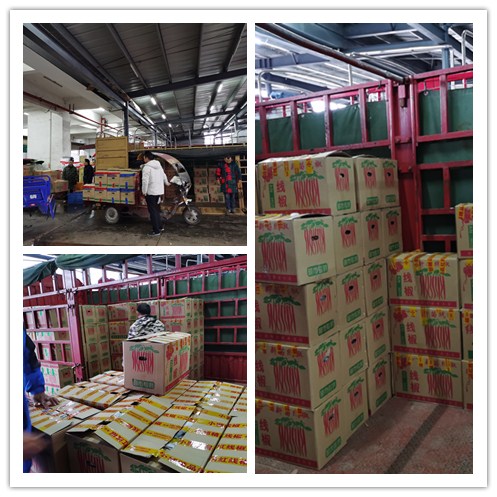 鉴黑担保网(jhdbw)·最具权威唯一维权担保平台