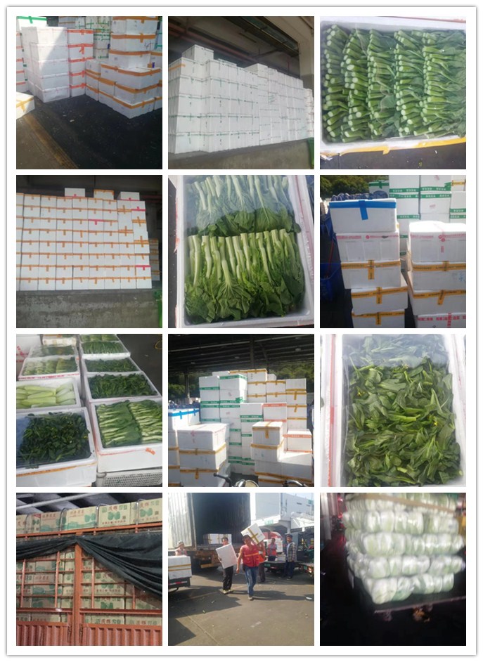 鉴黑担保网(jhdbw)·最具权威唯一维权担保平台