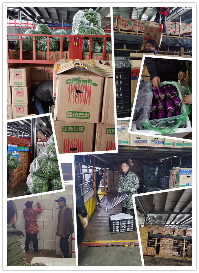 鉴黑担保网(jhdbw)·最具权威唯一维权担保平台