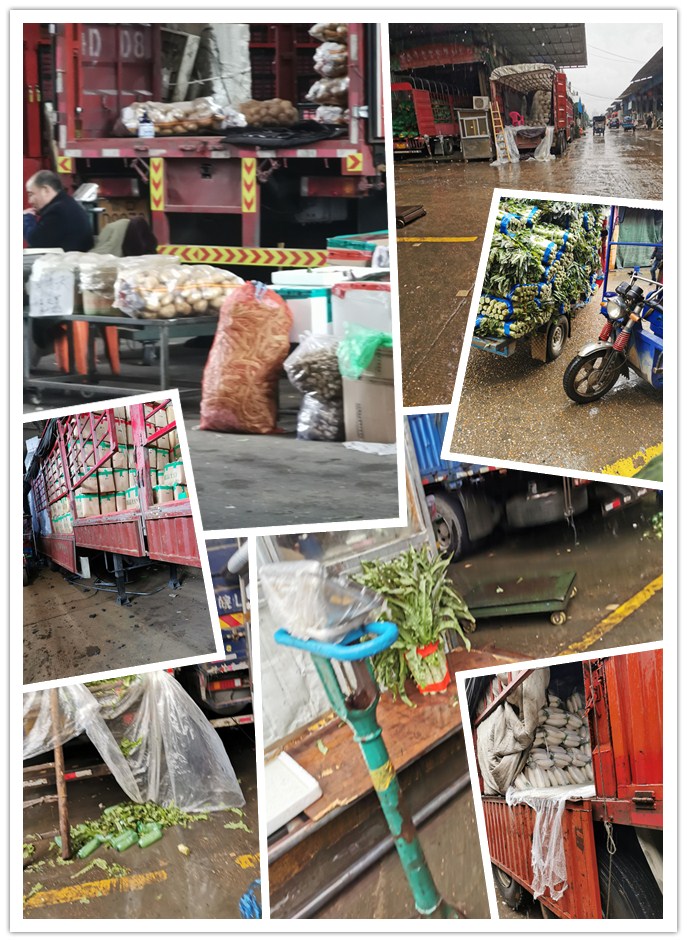 鉴黑担保网(jhdbw)·最具权威唯一维权担保平台