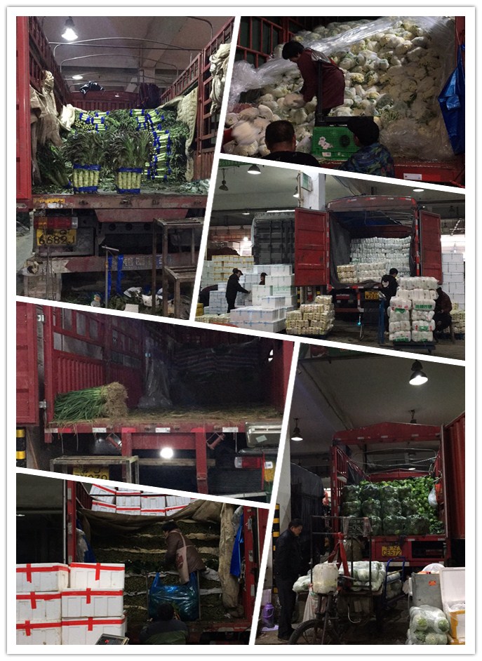 鉴黑担保网(jhdbw)·最具权威唯一维权担保平台