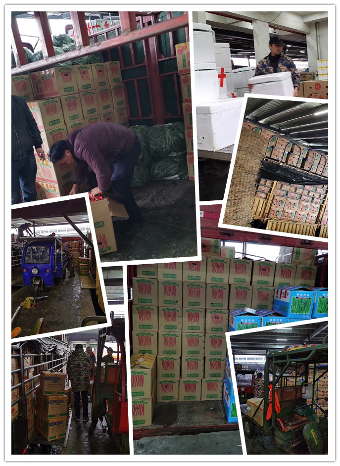 鉴黑担保网(jhdbw)·最具权威唯一维权担保平台