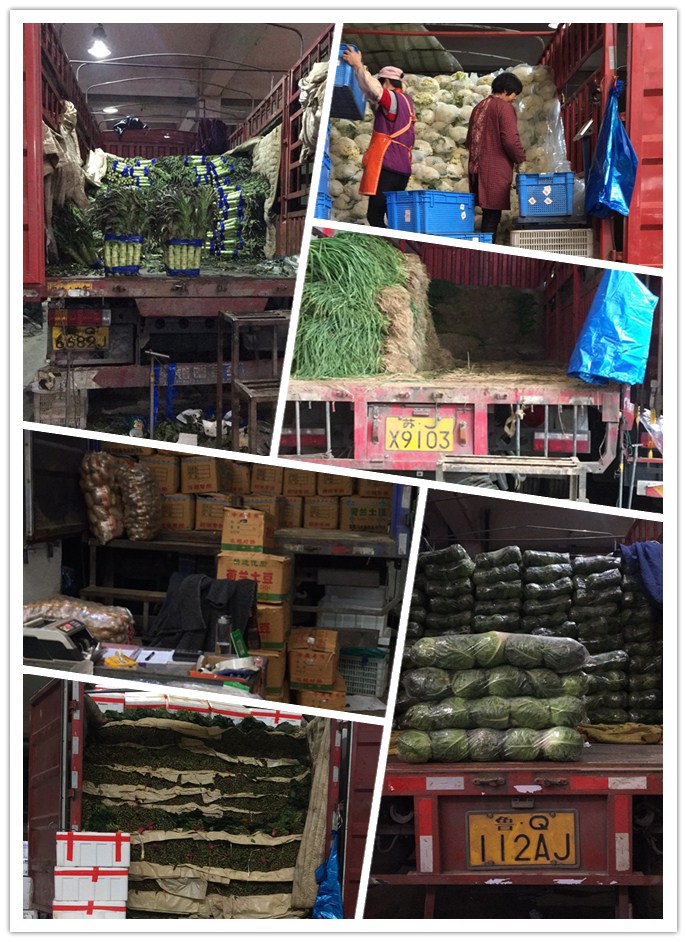 鉴黑担保网(jhdbw)·最具权威唯一维权担保平台