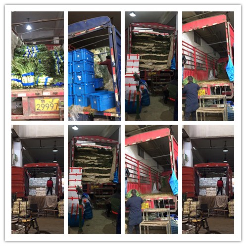 鉴黑担保网(jhdbw)·最具权威唯一维权担保平台