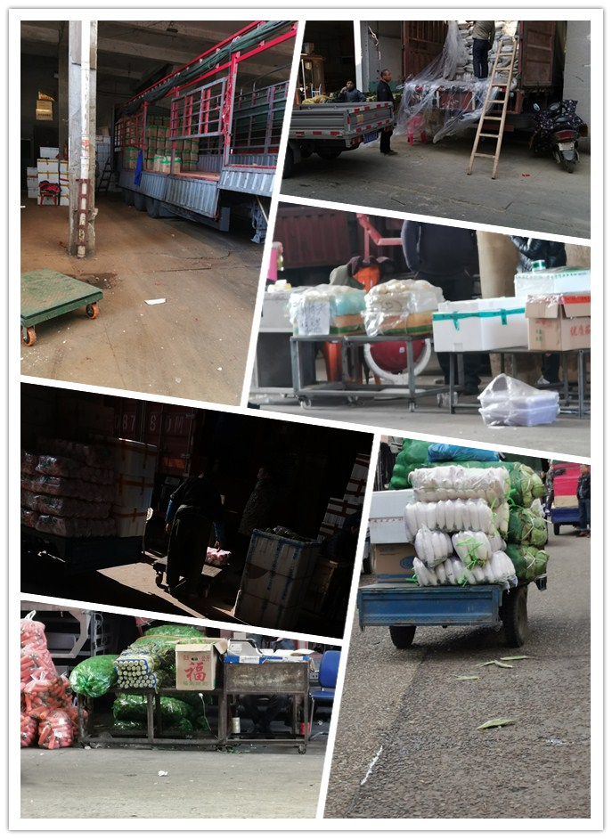 鉴黑担保网(jhdbw)·最具权威唯一维权担保平台