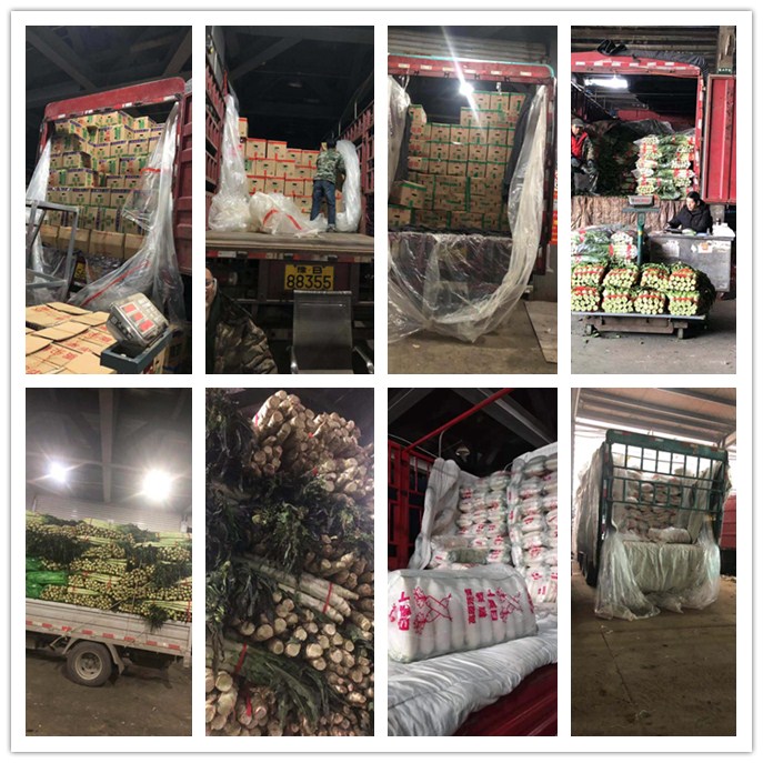 鉴黑担保网(jhdbw)·最具权威唯一维权担保平台