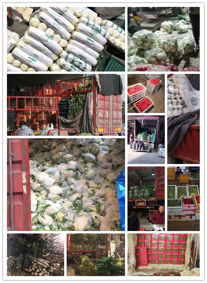 鉴黑担保网(jhdbw)·最具权威唯一维权担保平台