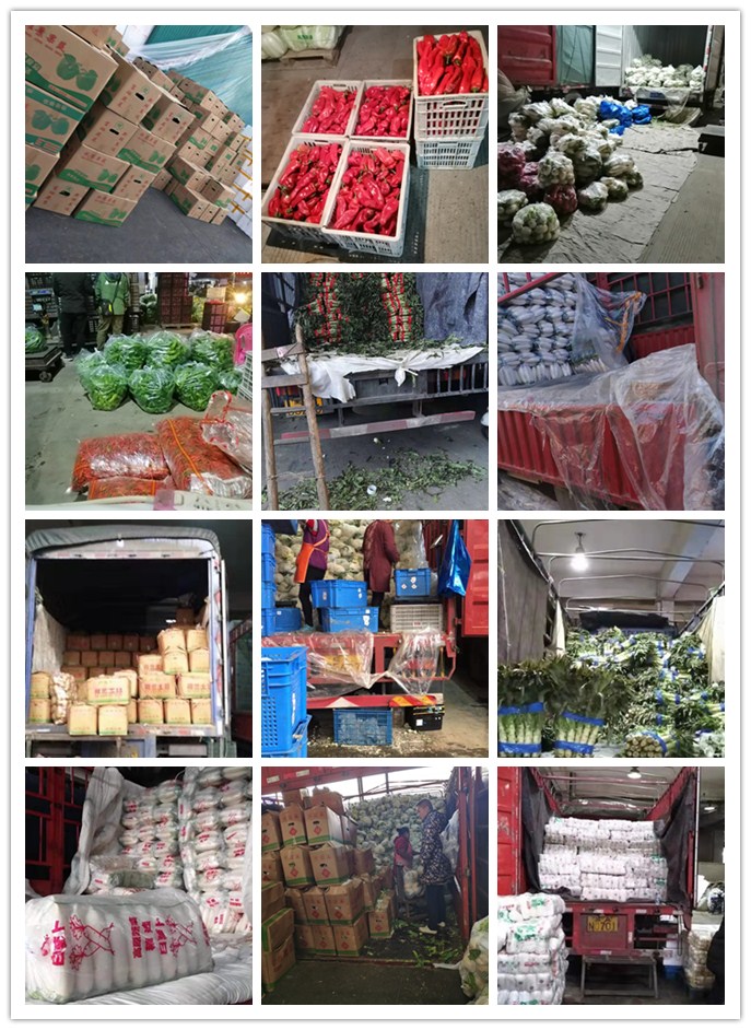 鉴黑担保网(jhdbw)·最具权威唯一维权担保平台