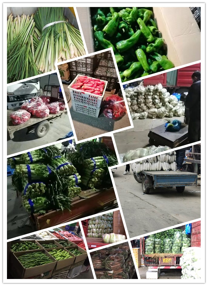 鉴黑担保网(jhdbw)·最具权威唯一维权担保平台