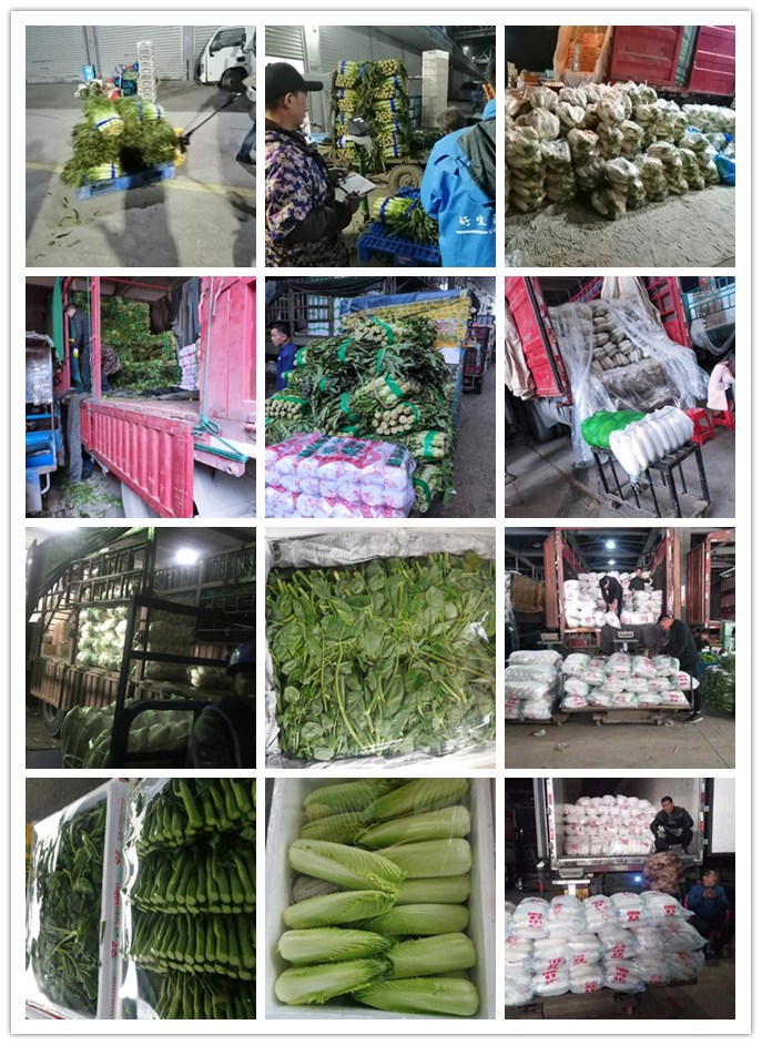 鉴黑担保网(jhdbw)·最具权威唯一维权担保平台