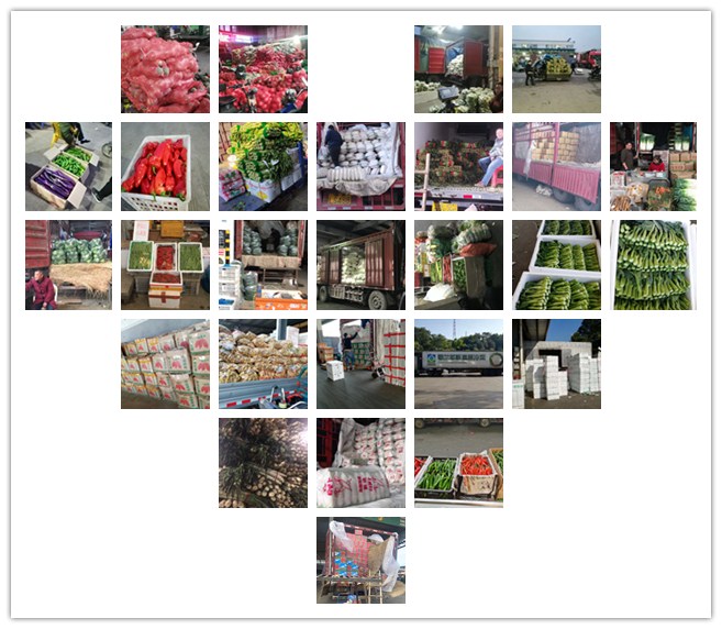 鉴黑担保网(jhdbw)·最具权威唯一维权担保平台