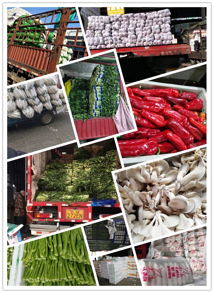 鉴黑担保网(jhdbw)·最具权威唯一维权担保平台