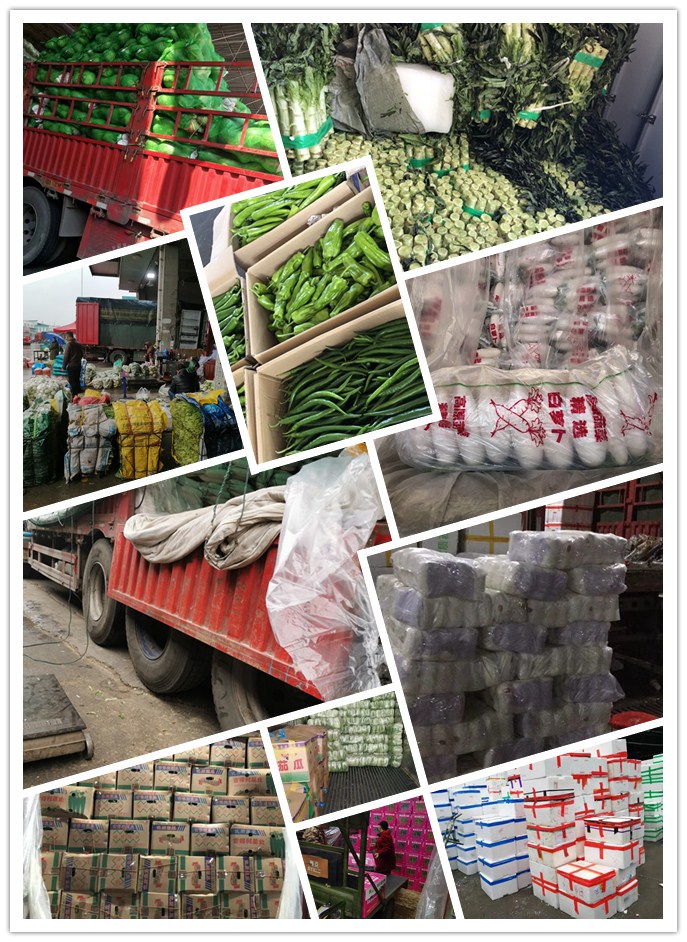 鉴黑担保网(jhdbw)·最具权威唯一维权担保平台