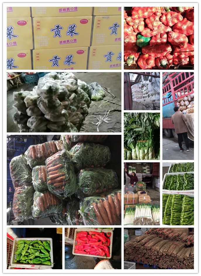 鉴黑担保网(jhdbw)·最具权威唯一维权担保平台