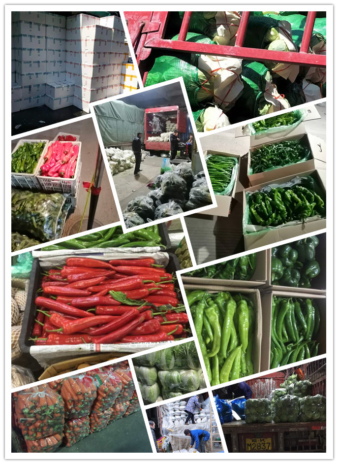 鉴黑担保网(jhdbw)·最具权威唯一维权担保平台