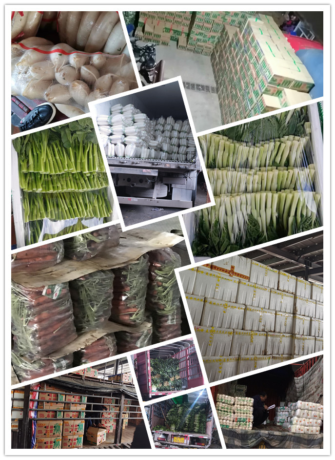 鉴黑担保网(jhdbw)·最具权威唯一维权担保平台