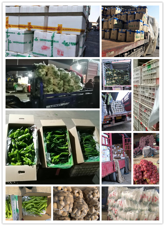 鉴黑担保网(jhdbw)·最具权威唯一维权担保平台