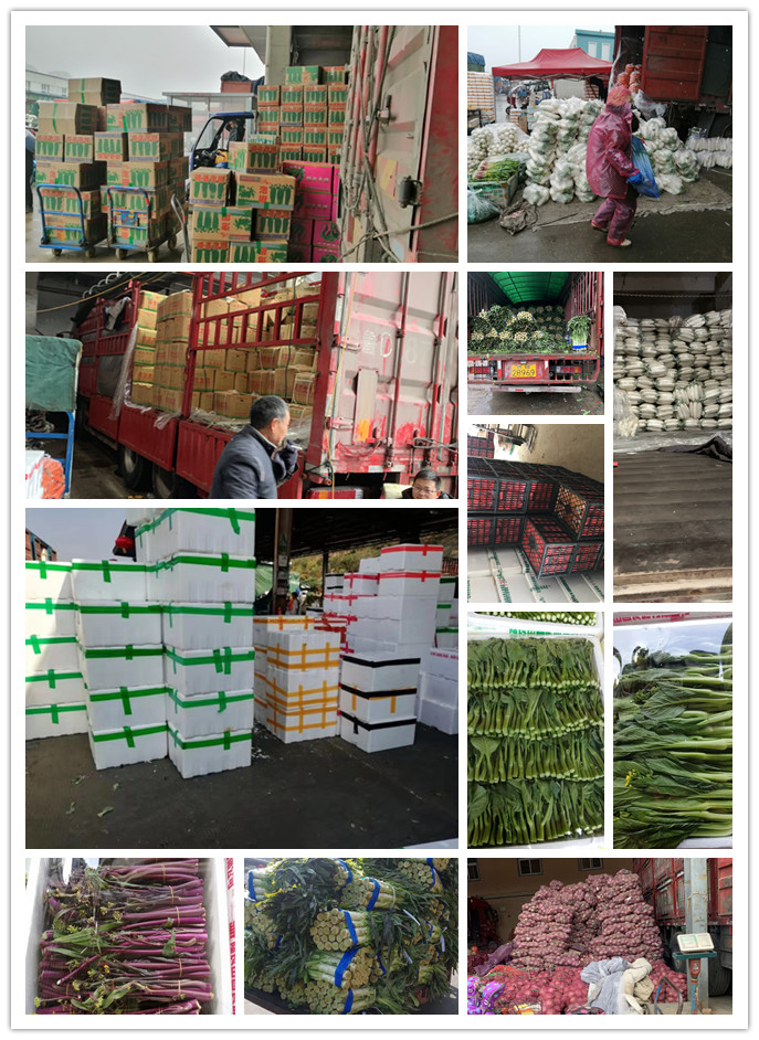 鉴黑担保网(jhdbw)·最具权威唯一维权担保平台