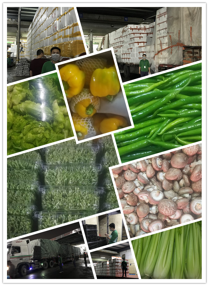 鉴黑担保网(jhdbw)·最具权威唯一维权担保平台