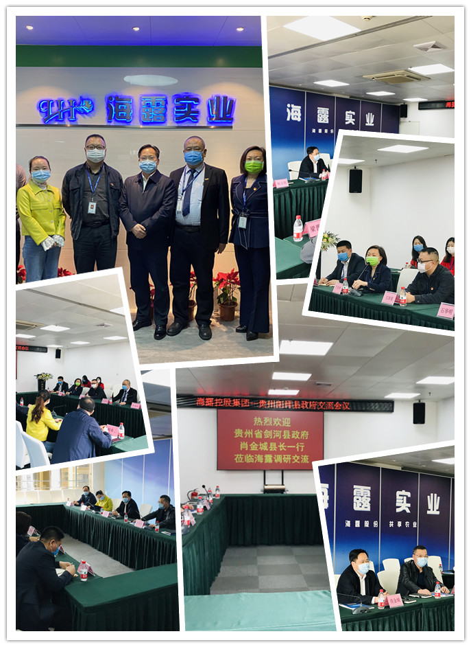 鉴黑担保网(jhdbw)·最具权威唯一维权担保平台