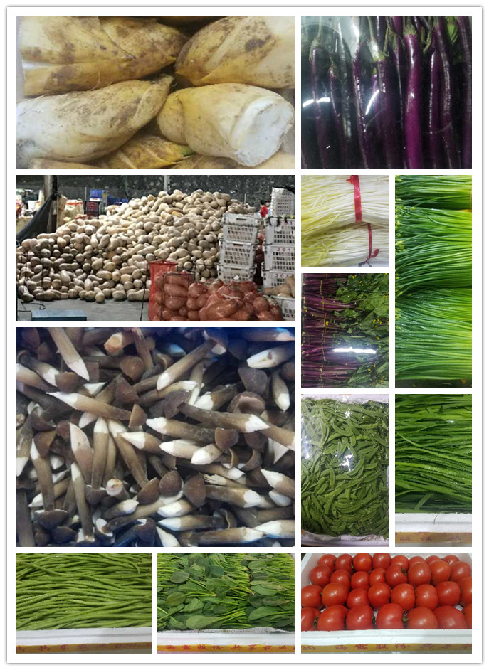 鉴黑担保网(jhdbw)·最具权威唯一维权担保平台