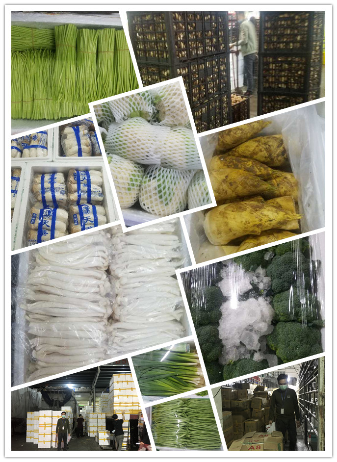 鉴黑担保网(jhdbw)·最具权威唯一维权担保平台