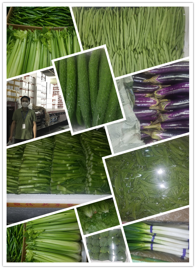 鉴黑担保网(jhdbw)·最具权威唯一维权担保平台