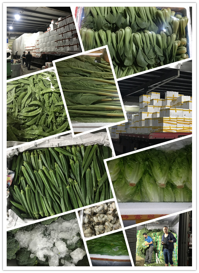 鉴黑担保网(jhdbw)·最具权威唯一维权担保平台