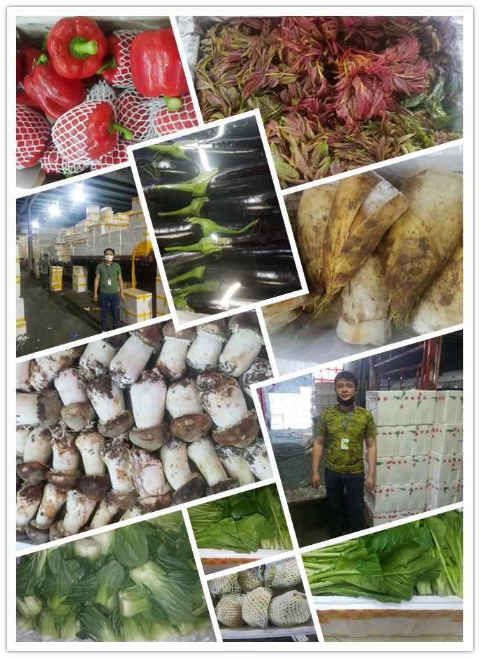 鉴黑担保网(jhdbw)·最具权威唯一维权担保平台