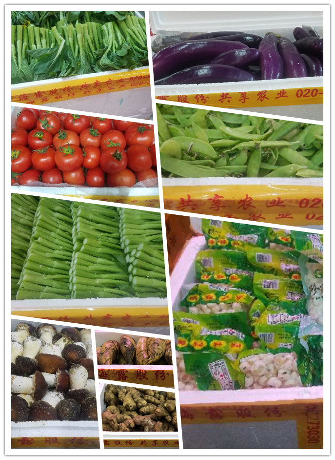 鉴黑担保网(jhdbw)·最具权威唯一维权担保平台