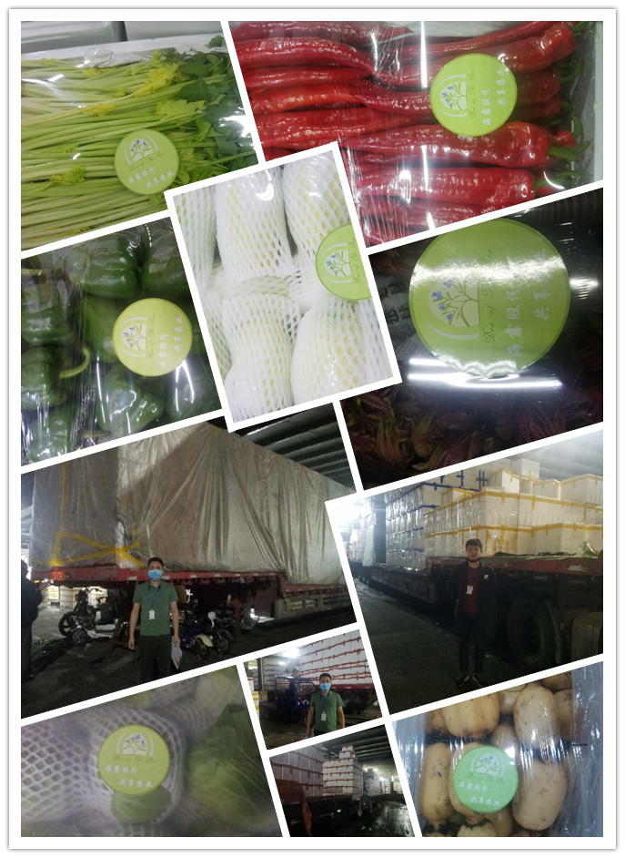 鉴黑担保网(jhdbw)·最具权威唯一维权担保平台