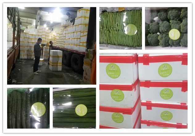 鉴黑担保网(jhdbw)·最具权威唯一维权担保平台