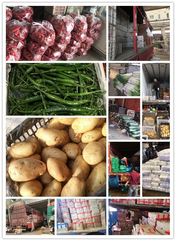 鉴黑担保网(jhdbw)·最具权威唯一维权担保平台