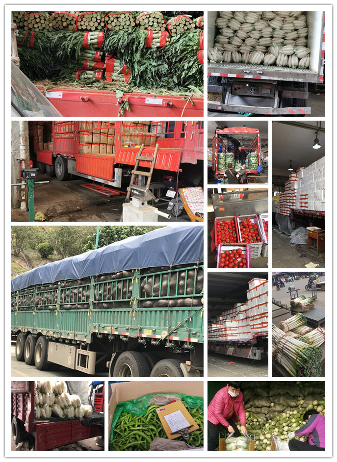 鉴黑担保网(jhdbw)·最具权威唯一维权担保平台