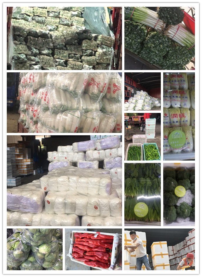 鉴黑担保网(jhdbw)·最具权威唯一维权担保平台