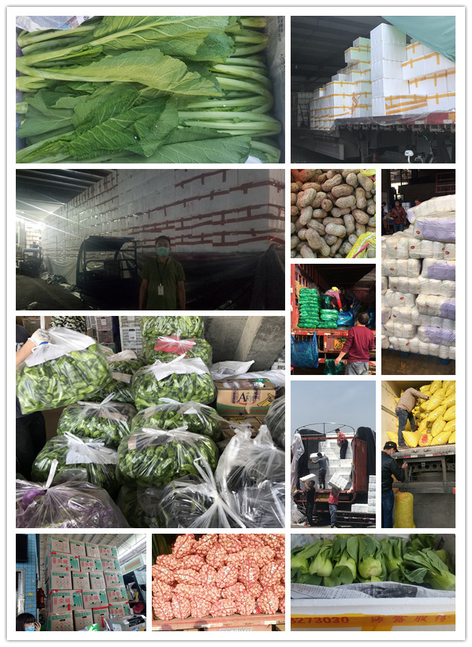 鉴黑担保网(jhdbw)·最具权威唯一维权担保平台