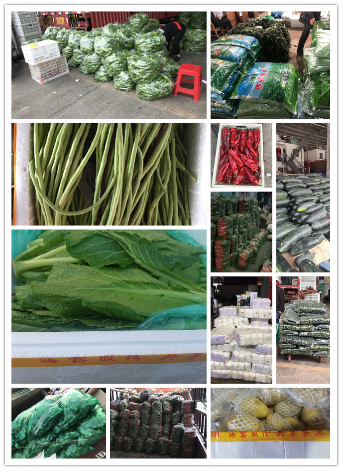 鉴黑担保网(jhdbw)·最具权威唯一维权担保平台