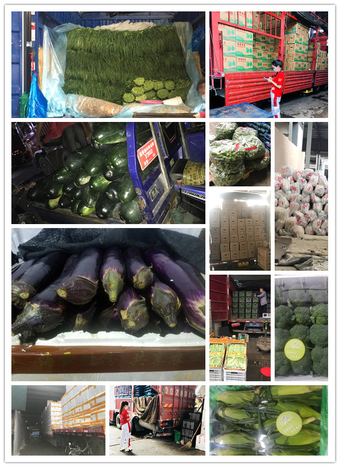 鉴黑担保网(jhdbw)·最具权威唯一维权担保平台