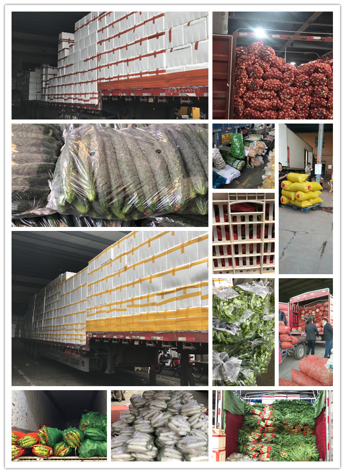 鉴黑担保网(jhdbw)·最具权威唯一维权担保平台