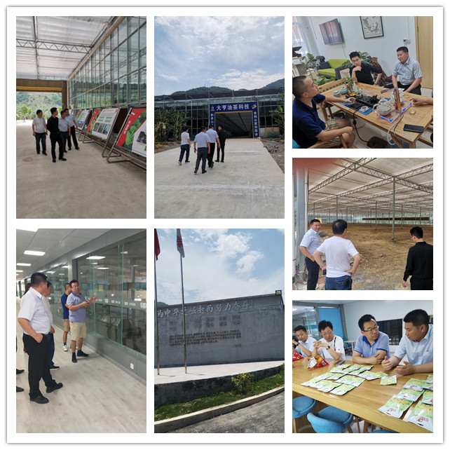 鉴黑担保网(jhdbw)·最具权威唯一维权担保平台