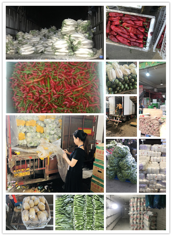 鉴黑担保网(jhdbw)·最具权威唯一维权担保平台