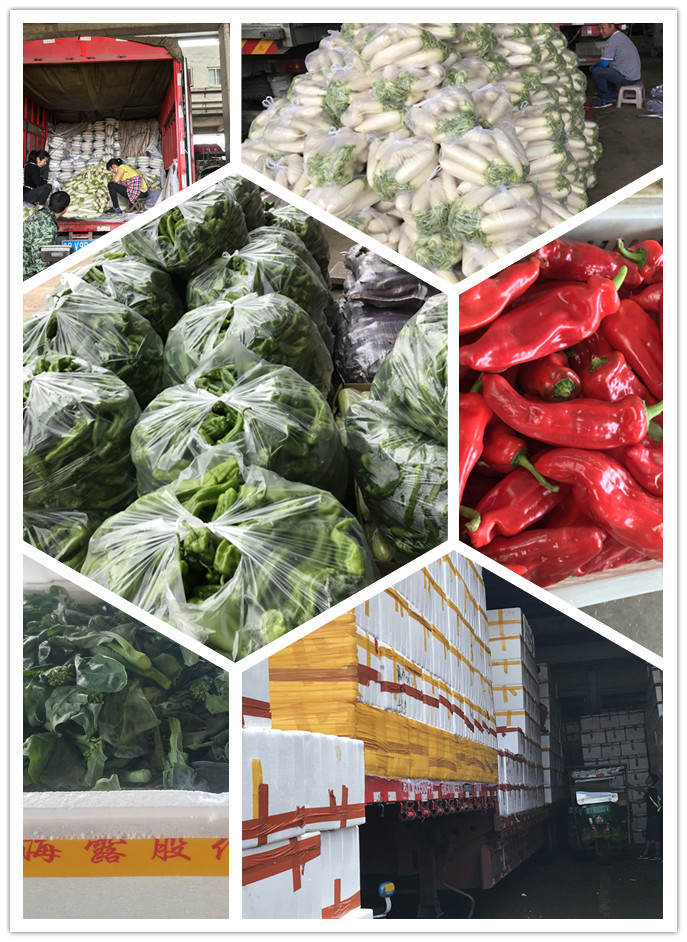 鉴黑担保网(jhdbw)·最具权威唯一维权担保平台